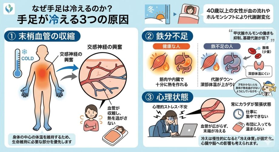 なぜ冷えは起こるのか?手足が冷える3つの原因をまとめたインフォグラフィック。