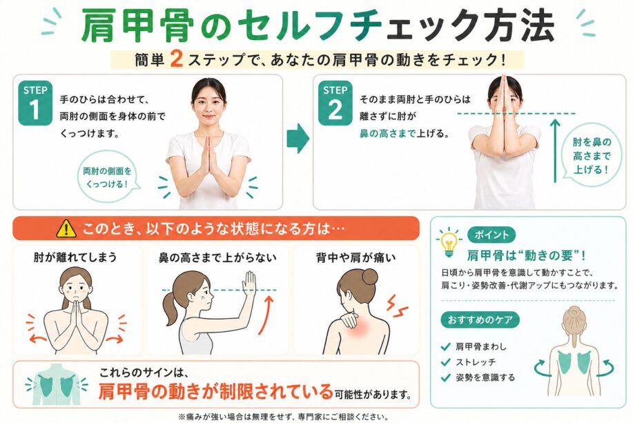 肩甲骨のセルフチェックをまとめたインフォグラフィック。