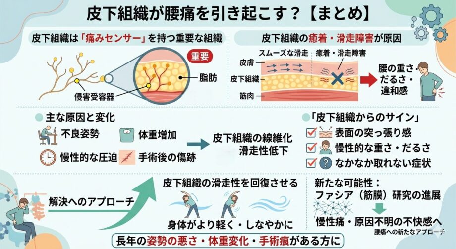皮下組織と腰痛の関係をまとめたインフォグラフィック。