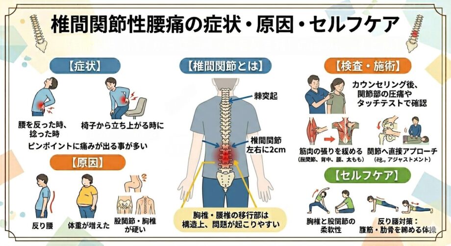 椎間関節性の腰痛の症状・原因・セルフケアをまとめたインフォグラフィック。urokoBodyCare。