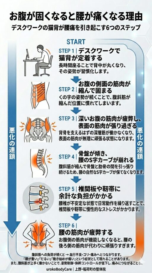デスクワークや猫背から腰痛になるメカニズム