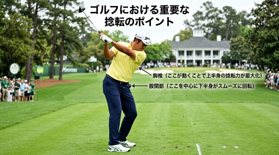 ゴルフの際に重要なポイント。胸椎。股関節。