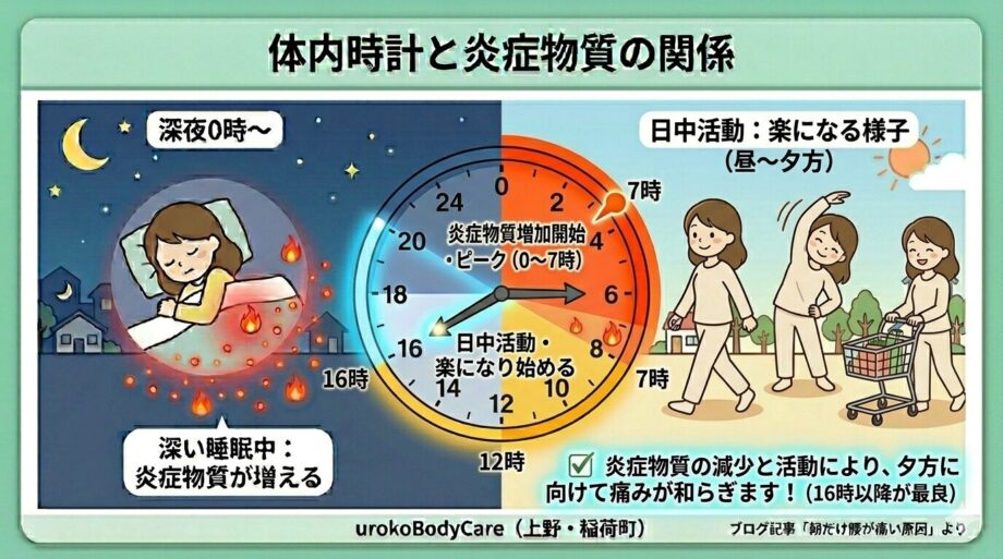 体内時計と痛みの関係を示したイラスト