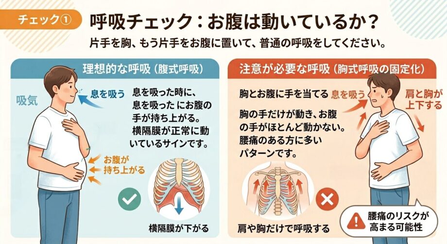 呼吸の際にお腹が動いているかをまとめたインフォグラフィック。