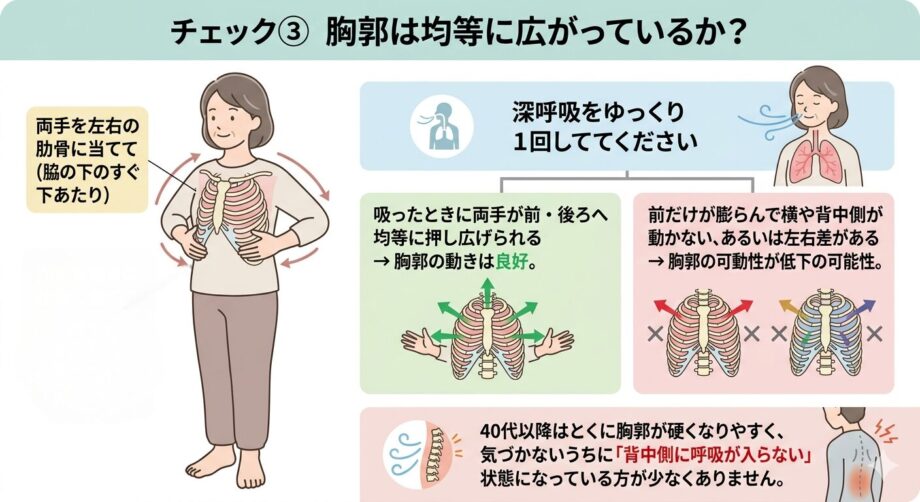 呼吸のチェック。胸郭が均等に広がっているかまとめた画像。