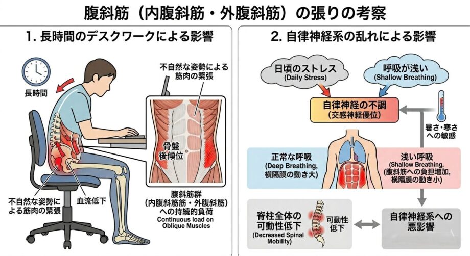 股関節の柔軟性が低下したことへの考察