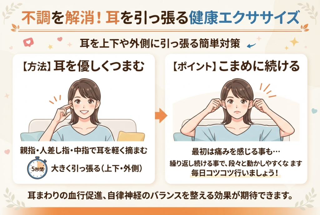 耳を上下や外側に引っ張るエクササイズのイラスト