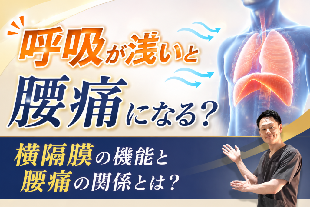 呼吸が浅いと腰痛になる?横隔膜の機能と腰痛の関係を上野の整体師が解説