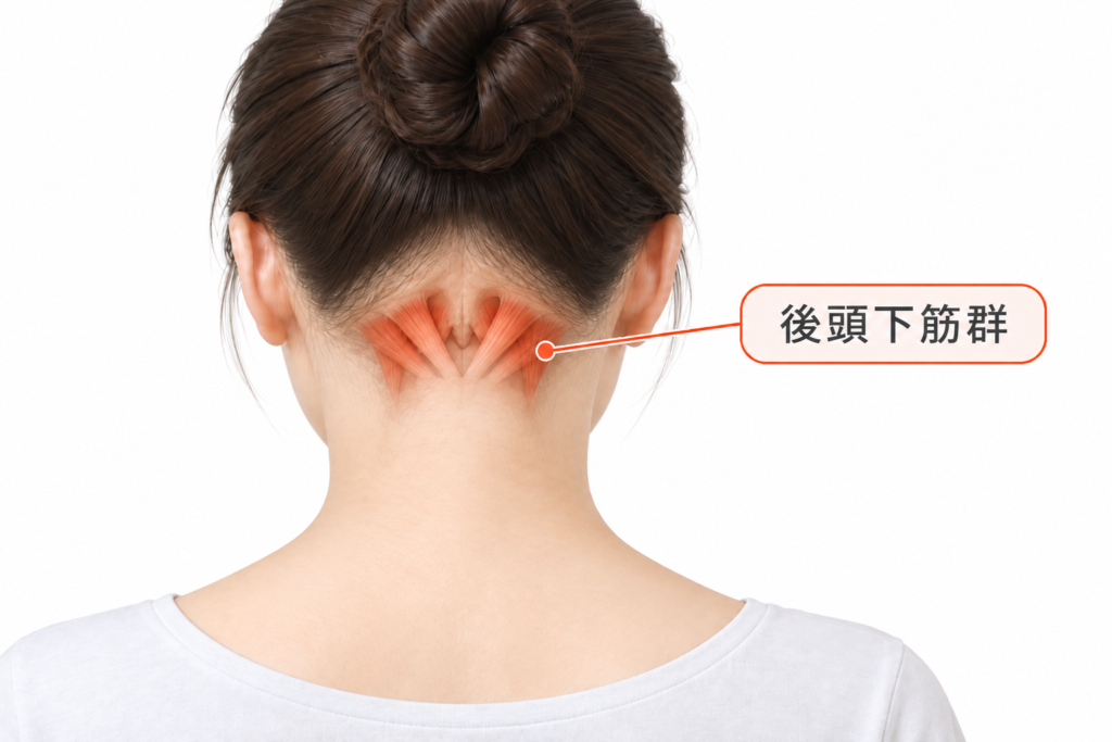 後頭下筋群