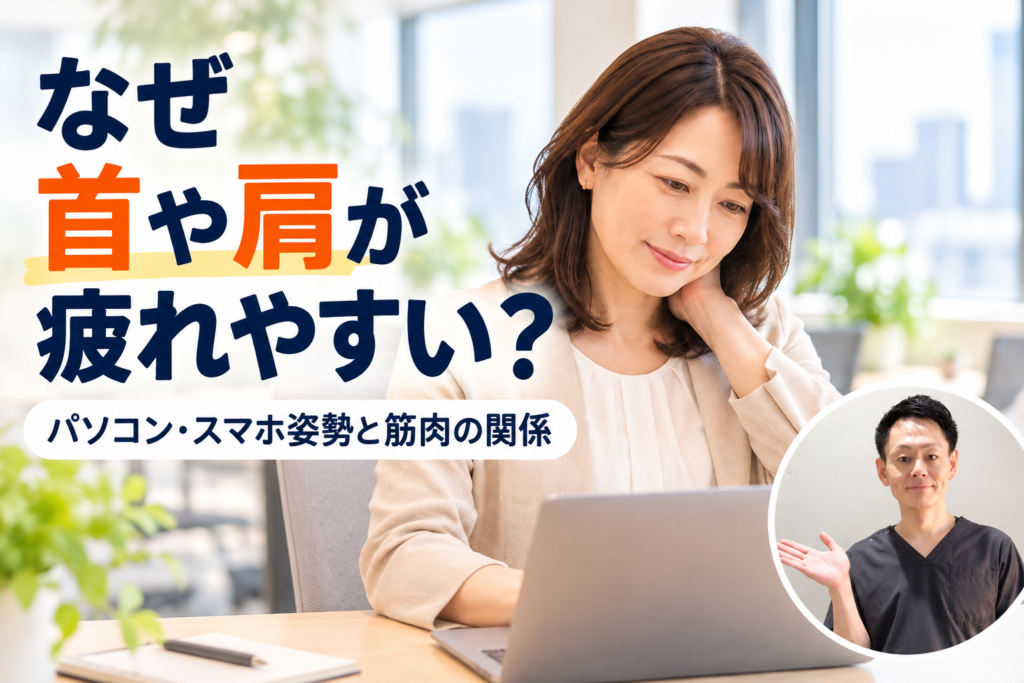 現代人はなぜ首や肩が疲れやすい?パソコン・スマホ姿勢と筋肉の関係【上野・稲荷町の整体院】